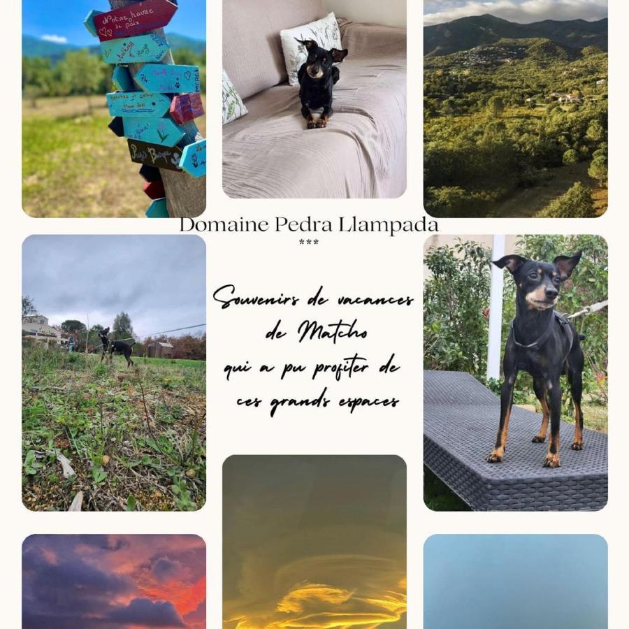 Domaine Pedra Llampada Gite Mer Villelongue-dels-Monts Eksteriør billede